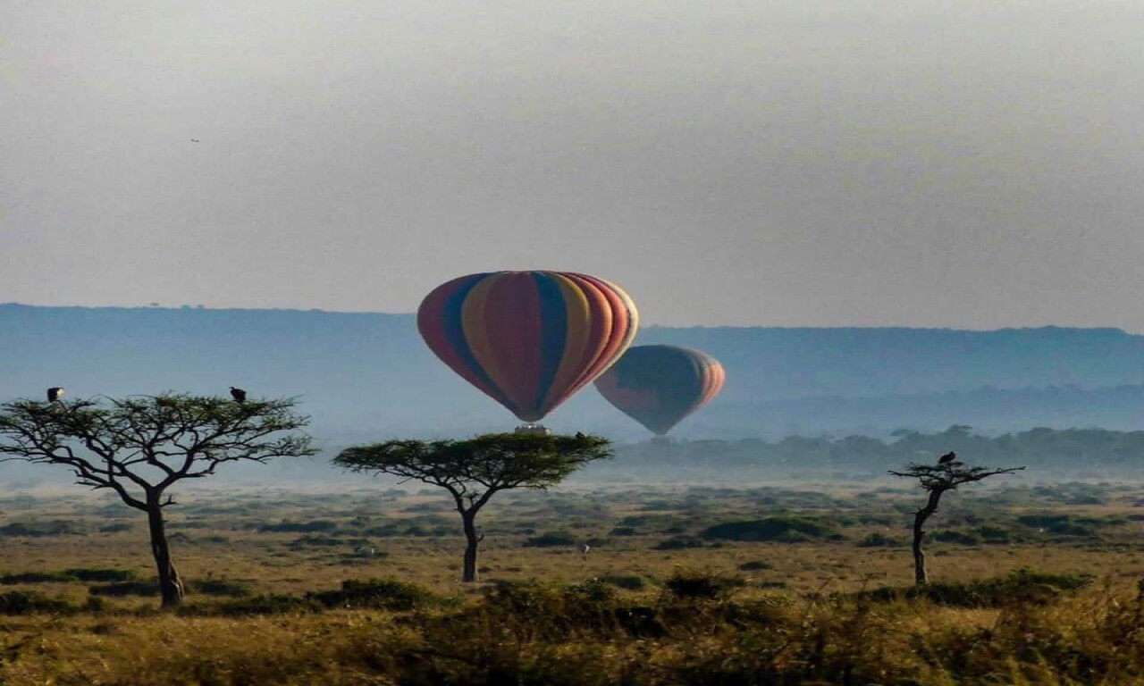 Heritage of African Jungles